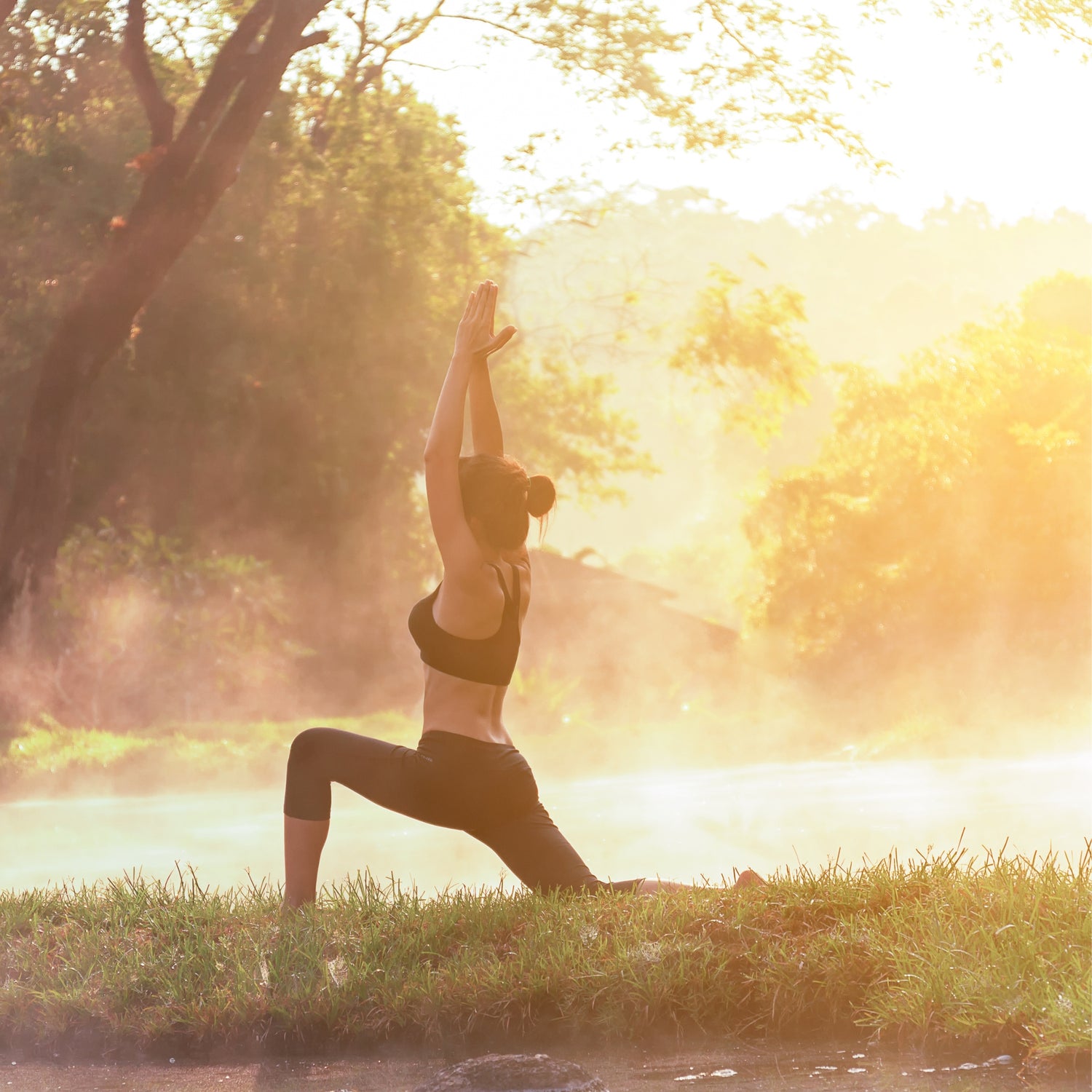 Ayurvedic Energy &amp; Vitality Program